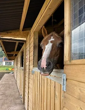 Change of Use of land and erection of two stable blocks with tack room and hay store, photo 2