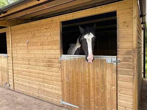 Change of Use of land and erection of two stable blocks with tack room and hay store, photo 3